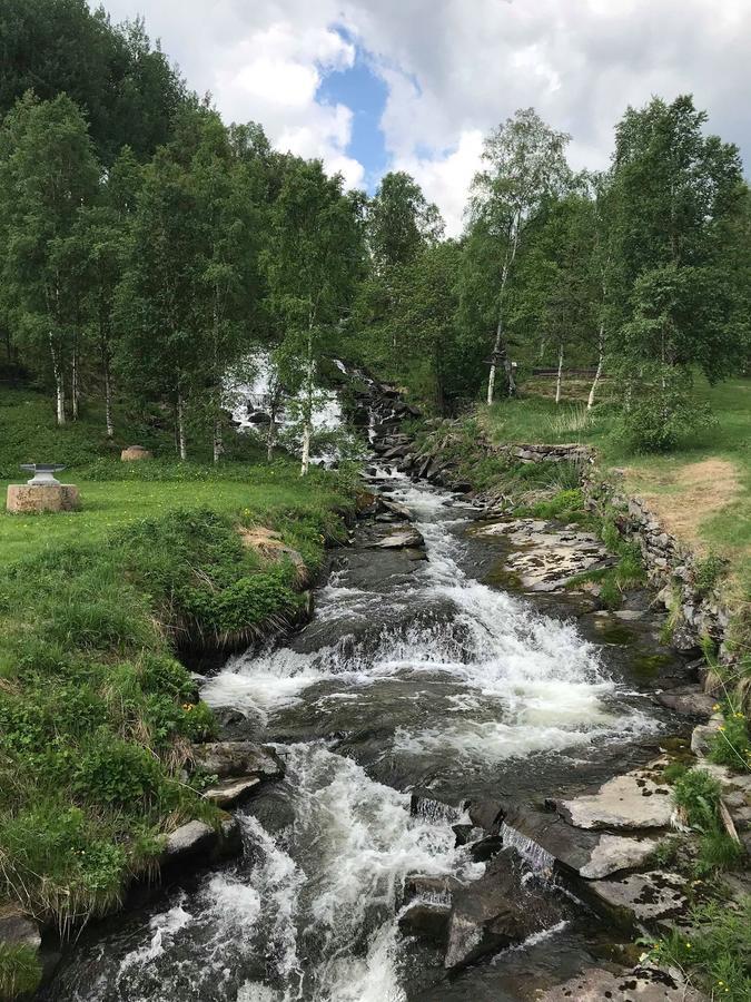 Malmplassen Bed & Breakfast Tolga Екстериор снимка