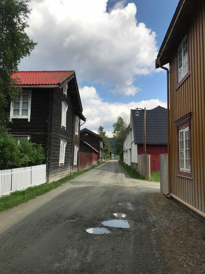 Malmplassen Bed & Breakfast Tolga Екстериор снимка